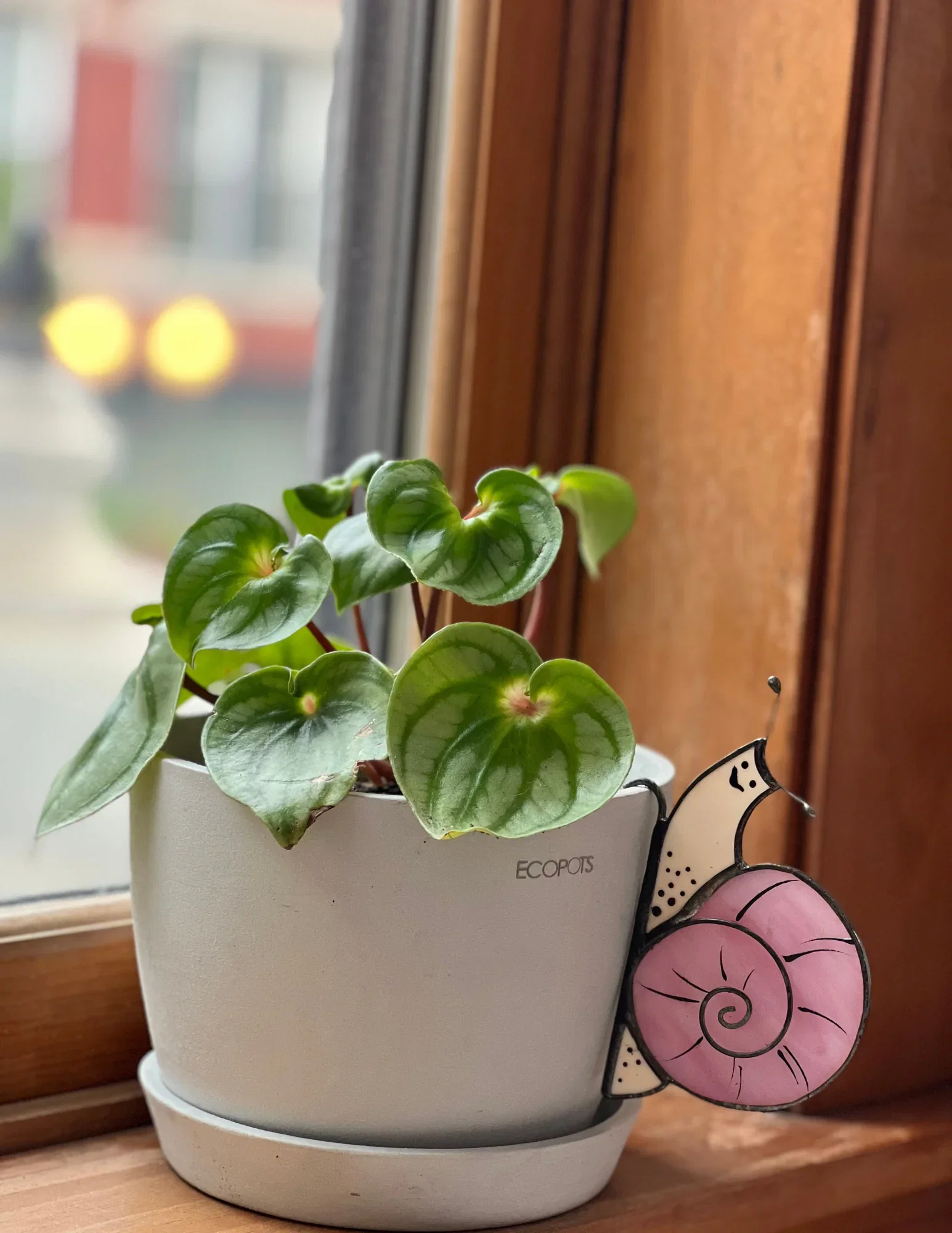Image of Snail Pot Hugger