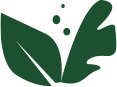The Botanist