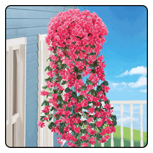 Shop Outdoor Décor