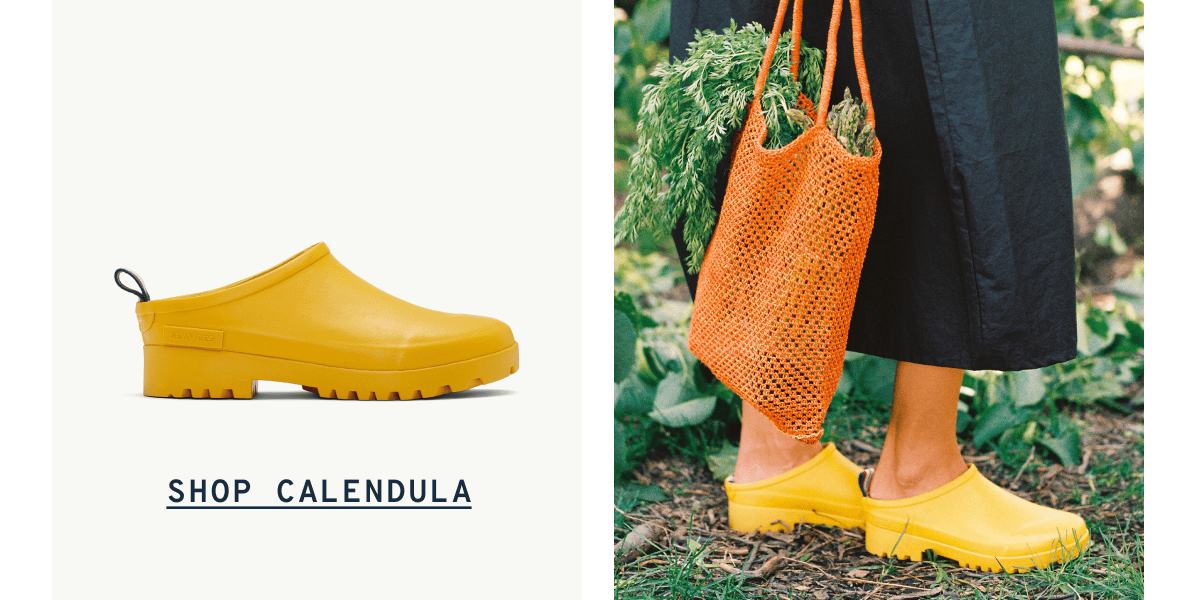 Shop Calendula