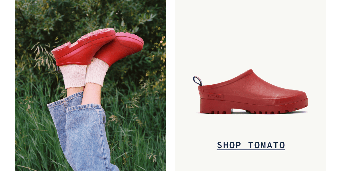 Shop Tomato