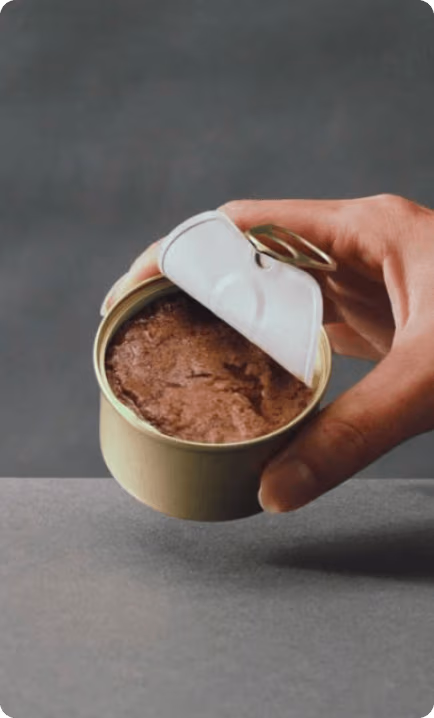 Close-up of a hand holding an open tin of other cat food