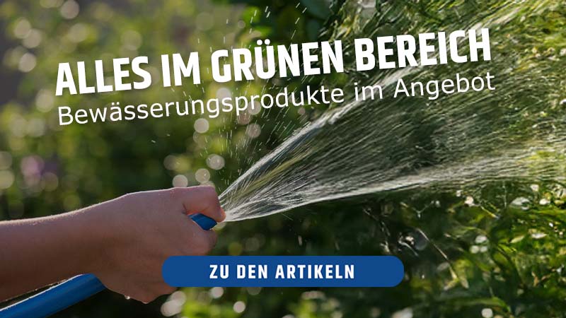 zu den Artikeln