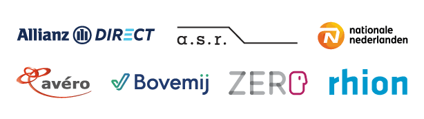 Allianz Direct, Nationale Nederlanden, a.s.r., Avero, Bovemij, Zero en Rhion autoverzekeringen.