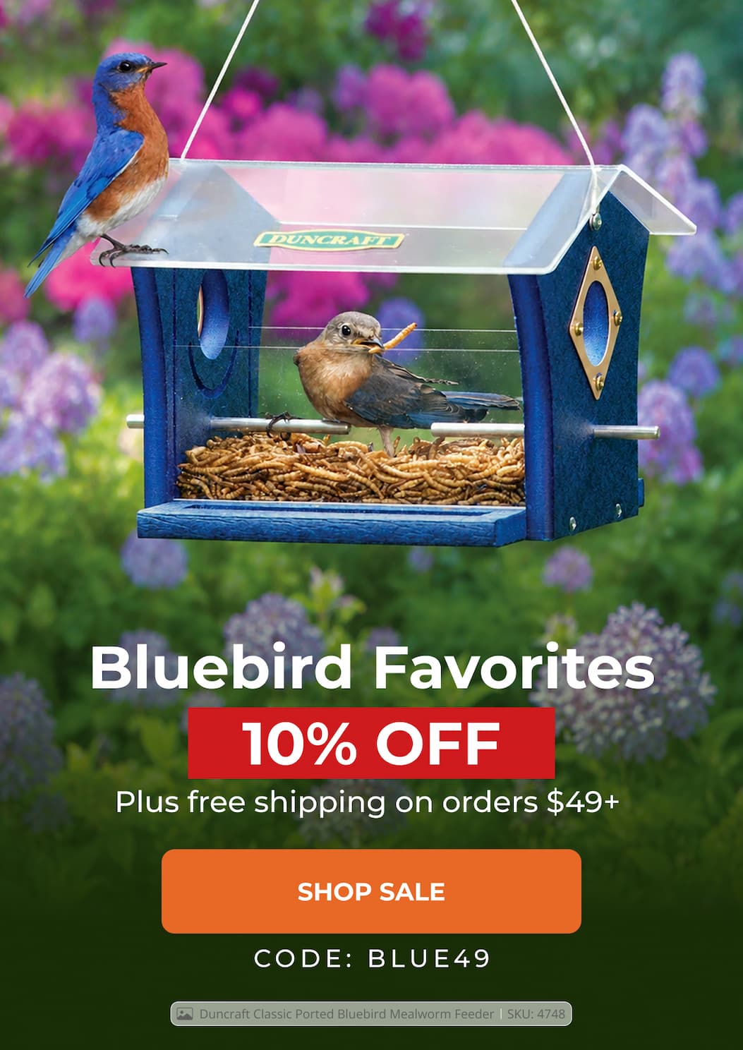 Bluebird Favorites — 10% Off