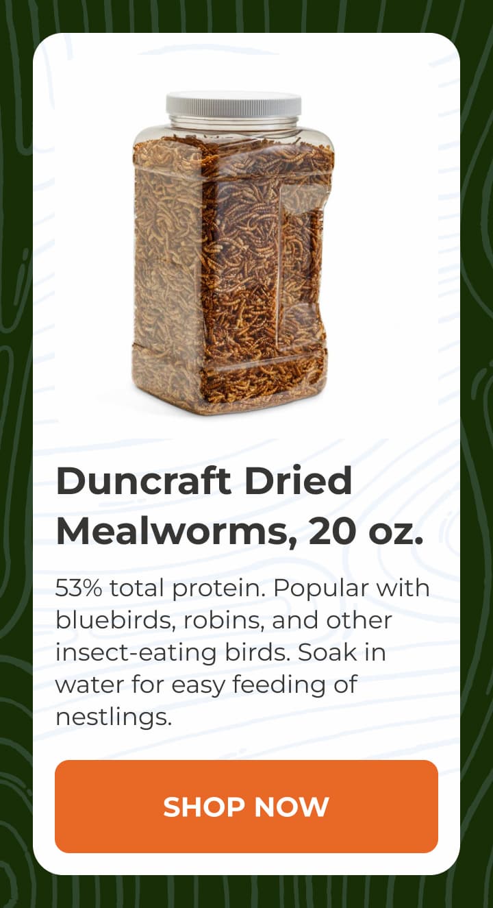 Duncraft Dried Mealworms, 20 oz.