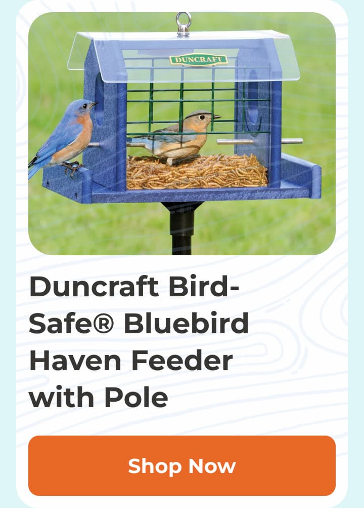 Duncraft Bird-Safe® Bluebird Haven Feeder with Pole