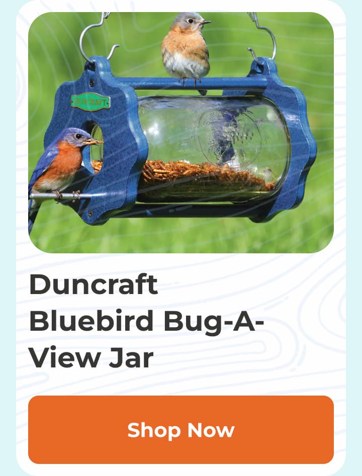 Duncraft Bluebird Bug-A-View Jar
