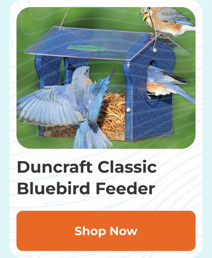 Shop our feeders and houses made form recycled plastic