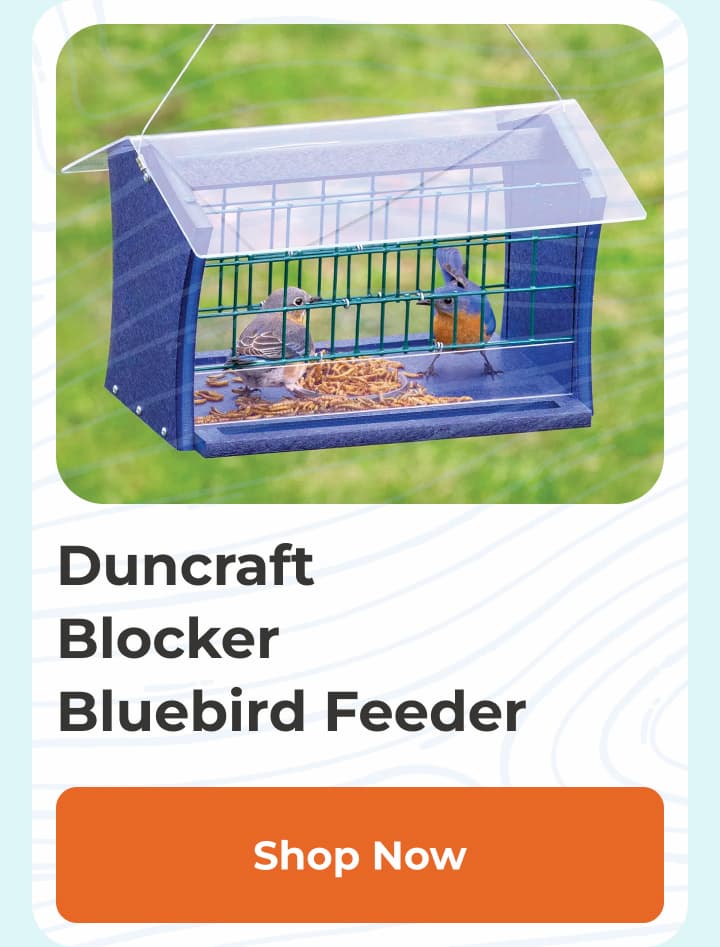Duncraft Bluebird Blocker Feeder