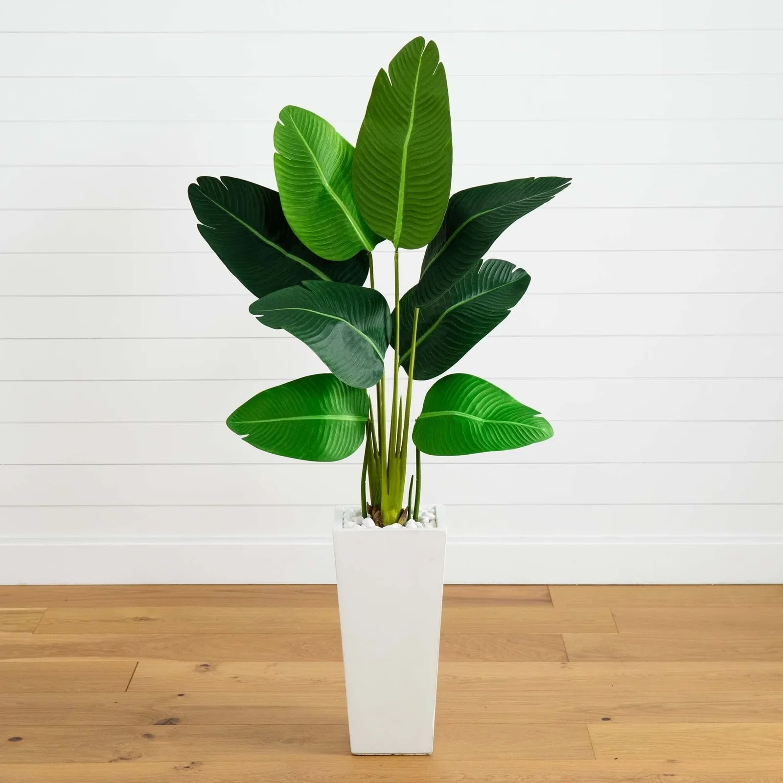 Image of 5’ Traveler's Palm Artificial Tree in Tall White Planter