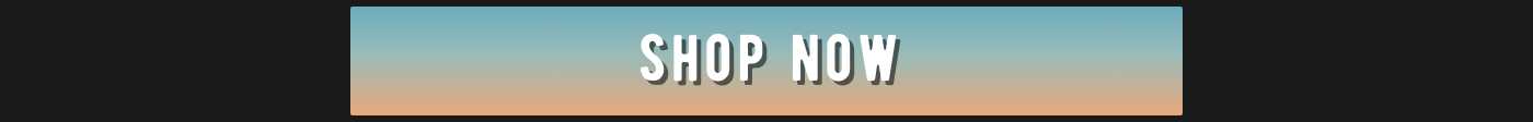SHOP NOW button.