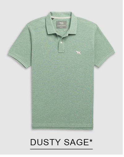 Shop The Gunn Sports Fit Polo, Dusty Sage online and instore at Rodd & Gunn