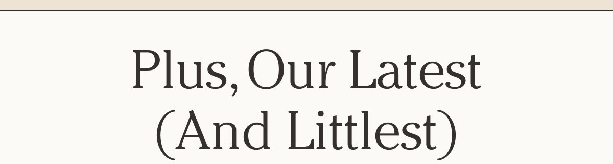 Plus, Our Latest (and littlest)
