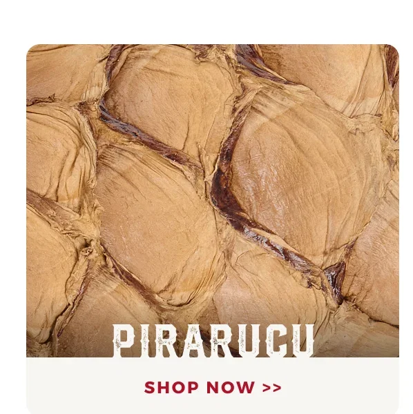 SHOP PIRARUCU