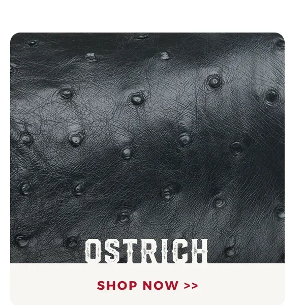SHOP OSTRICH