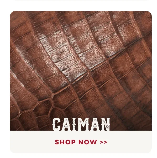 SHOP CAIMAN