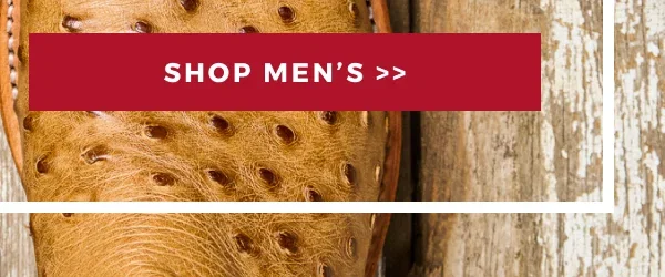 SHOP MEN'S BOOTS