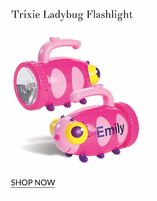 Trixie ladybug flashlight