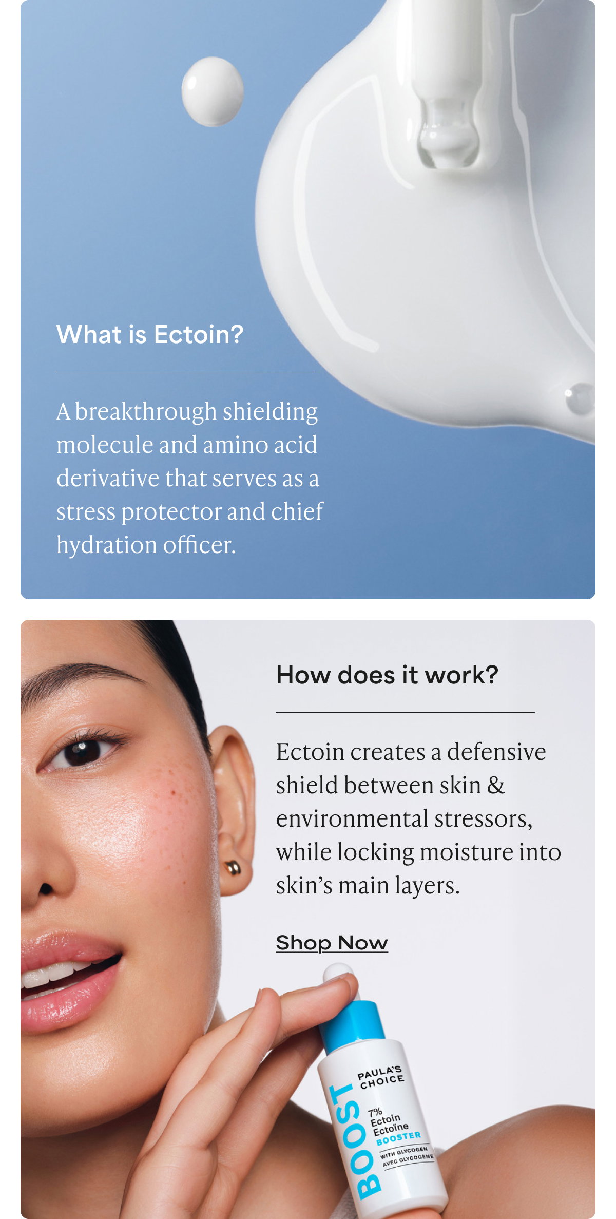 What is Ectoin?
