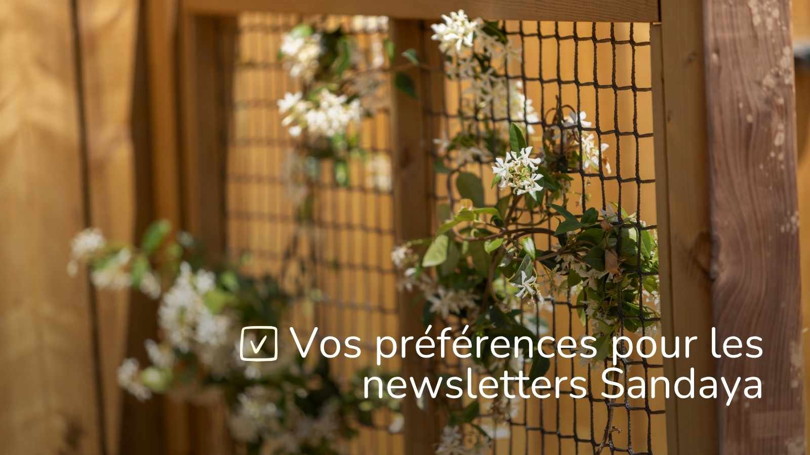Vos préférences pour les newsletters Sandaya