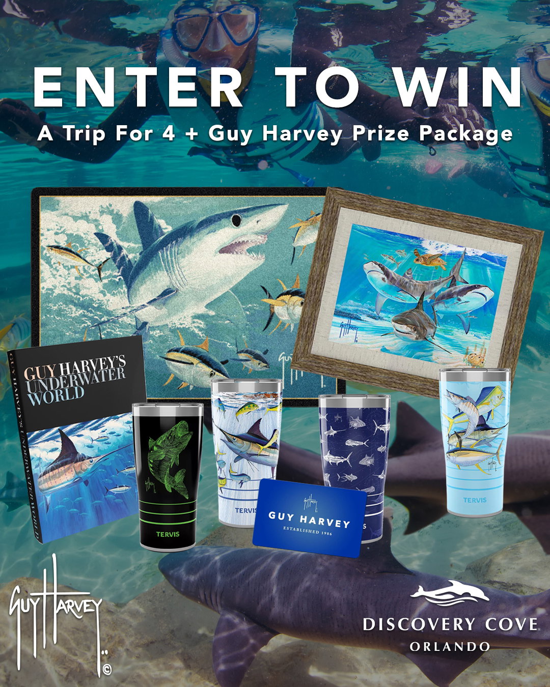 WIN THIS EXCLUSIVE ADVENTURE FROM DISCOVERY COVE AND GUY HARVEY!