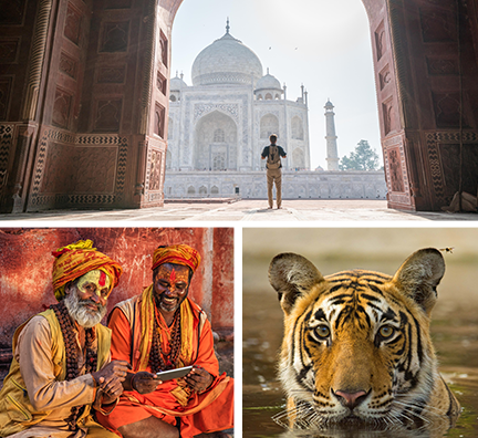 Bild-Collage: Tourist steht vor Taj Mahal, Inder in bunten Gewändern und Bemalung im Gesicht, Tigergesicht schaut aus dem Wasser hervor.