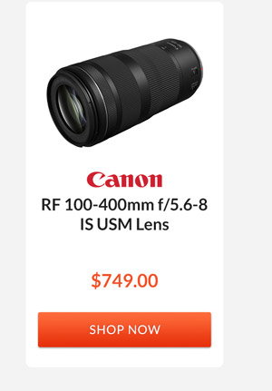 Canon RF 100-400mm f/5.6-8 IS USM Lens