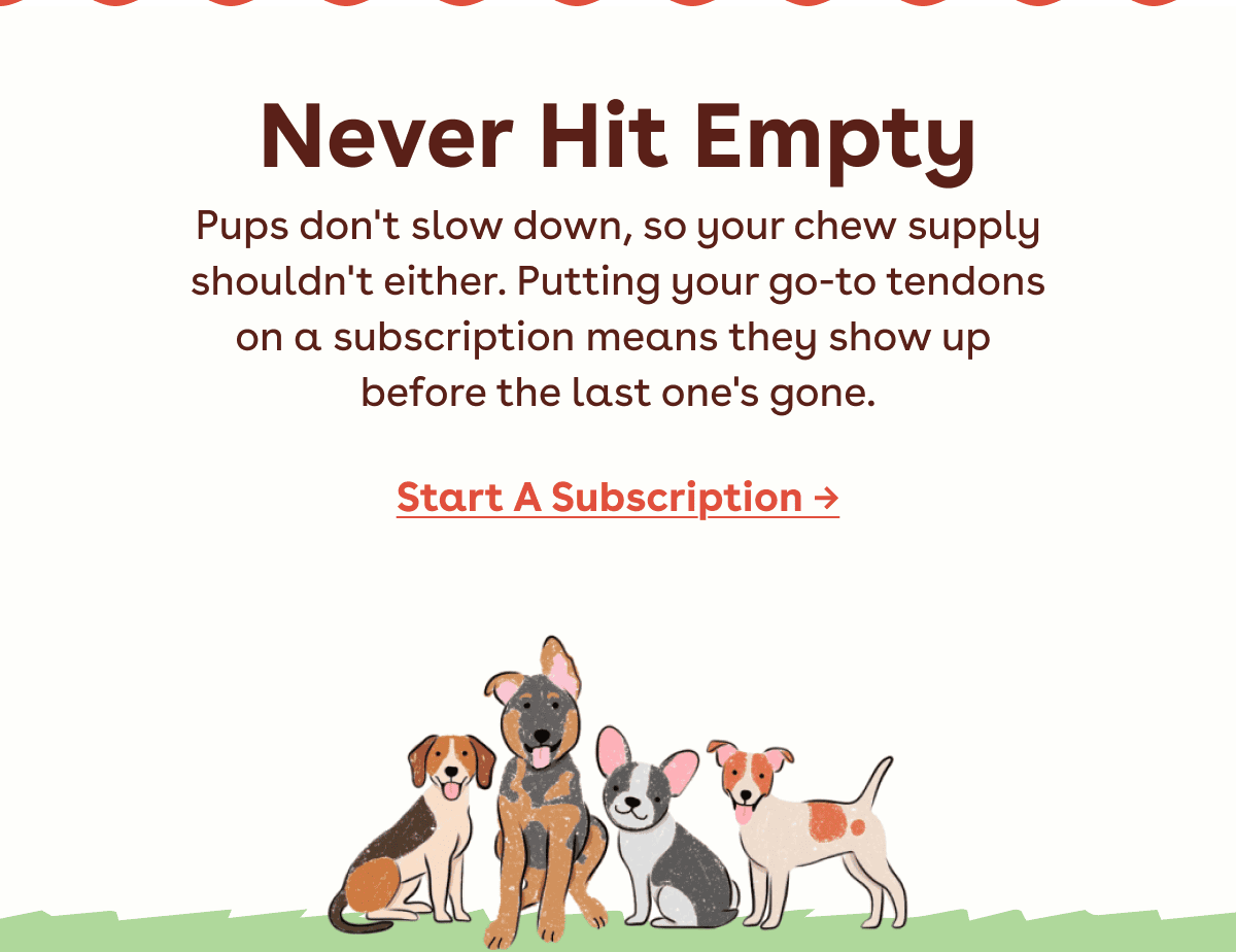 Start a subscription 