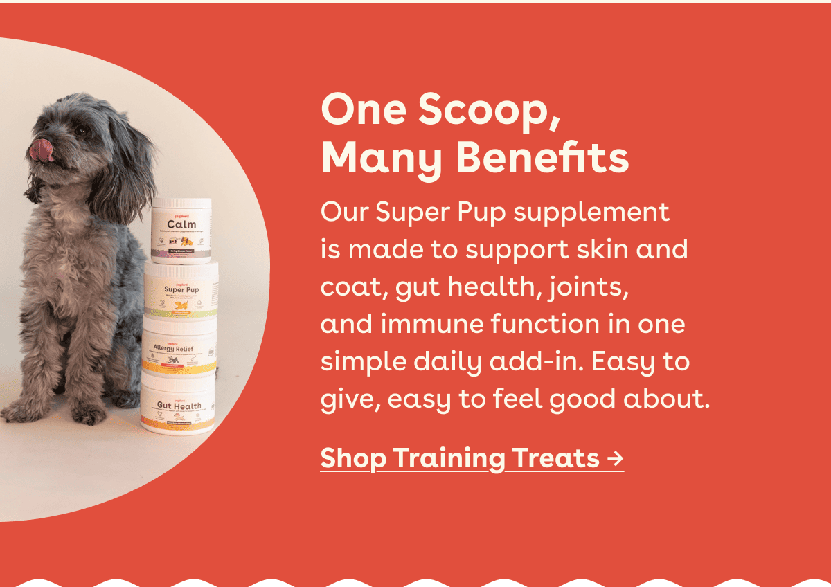 Shop training treats 