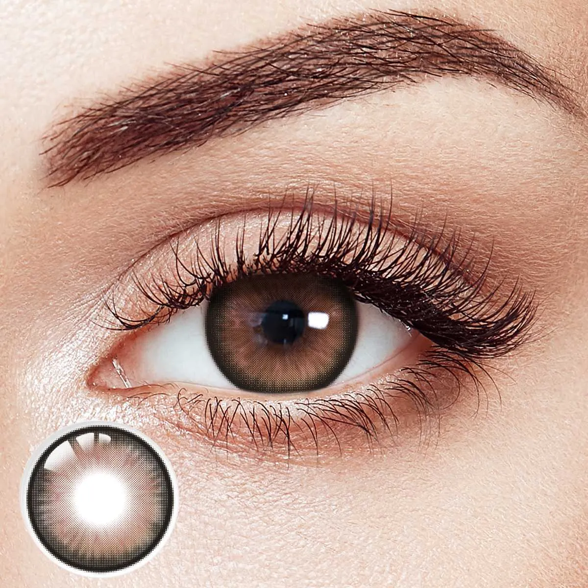 Fawn Glow Brown 6 Month Contact Lenses | 2 Pcs
