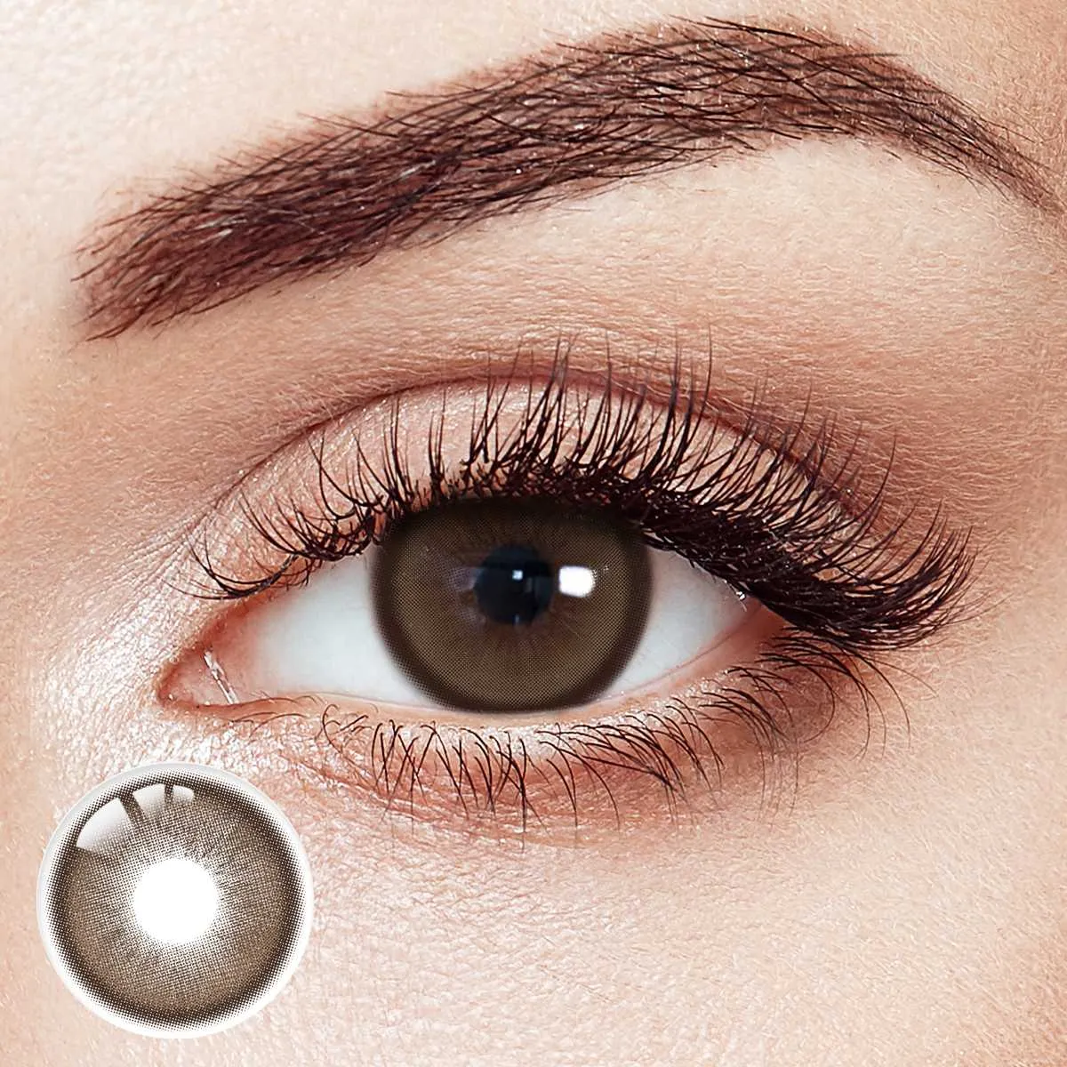 Tangerine Velvet Brown 6 Month Contact Lenses | 2 Pcs