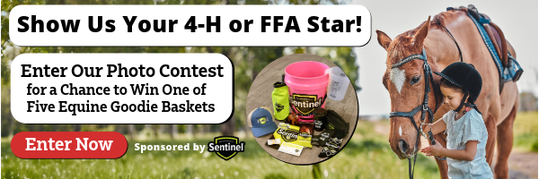 4H-FFA Photo Contest