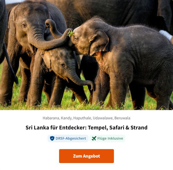 Sri Lanka für Entdecker: Tempel, Safari & Strand