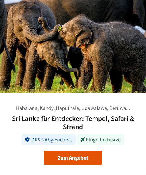 Sri Lanka für Entdecker: Tempel, Safari &amp; Strand
