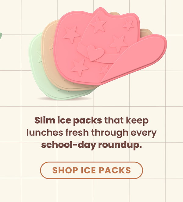 Slim Ice Packs That Keep Lunches Fresh Through Every School-Day Roundup - Shop Ice Packs 