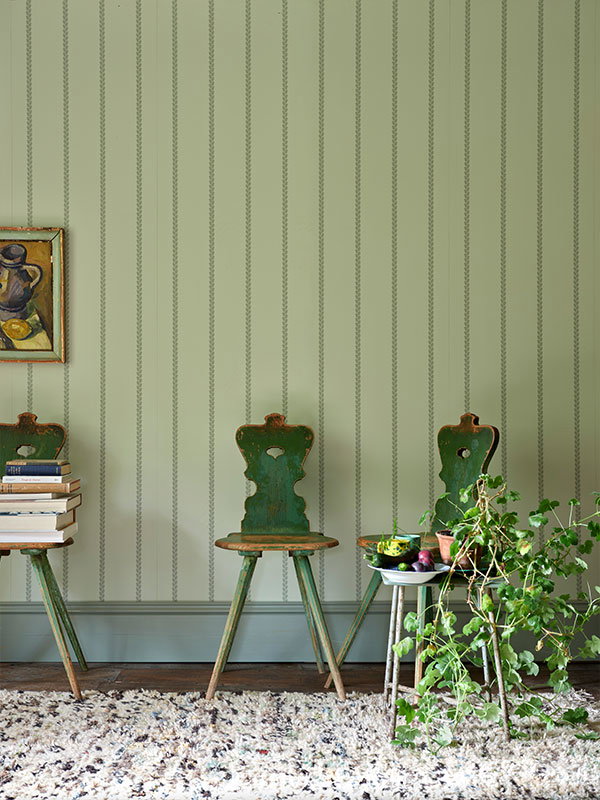 A row of three chairs against a wall decorated in a green colourway of Petal Stripe. There is an overgrown pot plant on one chair spilling onto the floor. The room feels as though the natural world has been brought inside, with a hint of wilderness.