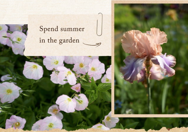 spend summer in the garden
