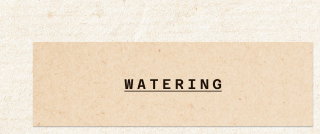 watering