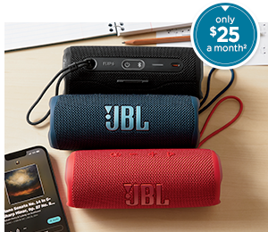 JBL Flip 6 Portable Bluetooth Speaker 