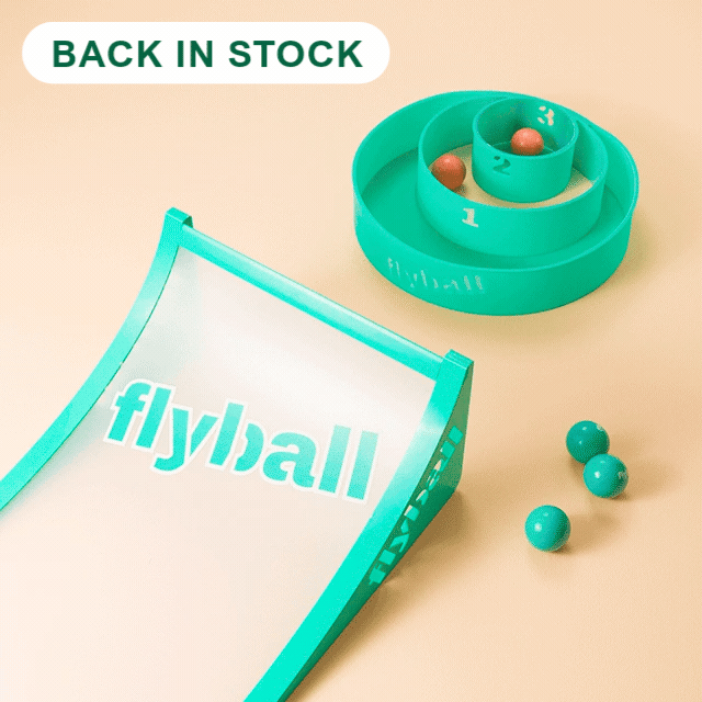 Flyball Lawn and Beach Game