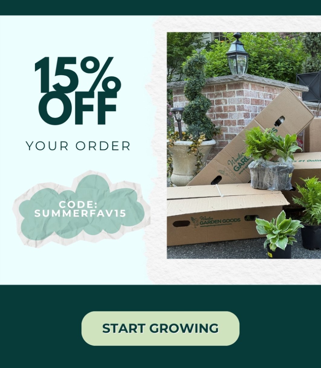 15% OFF SITEWIDE WITH CODE SUMMERFAV15