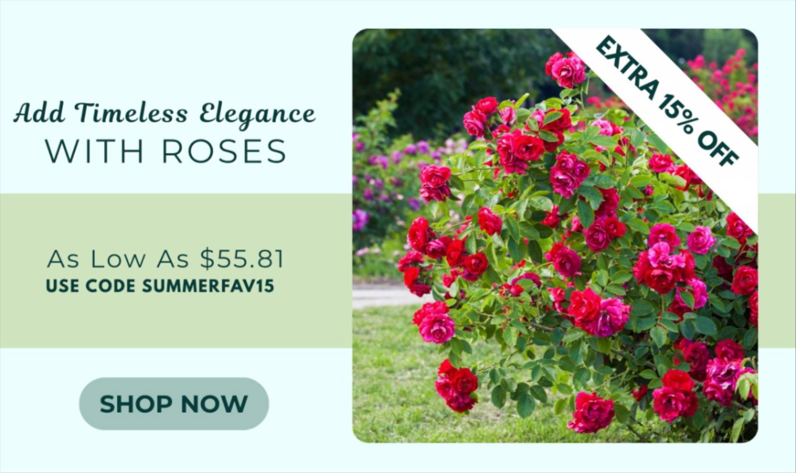 EXTRA 15% OFF SELECT ROSES