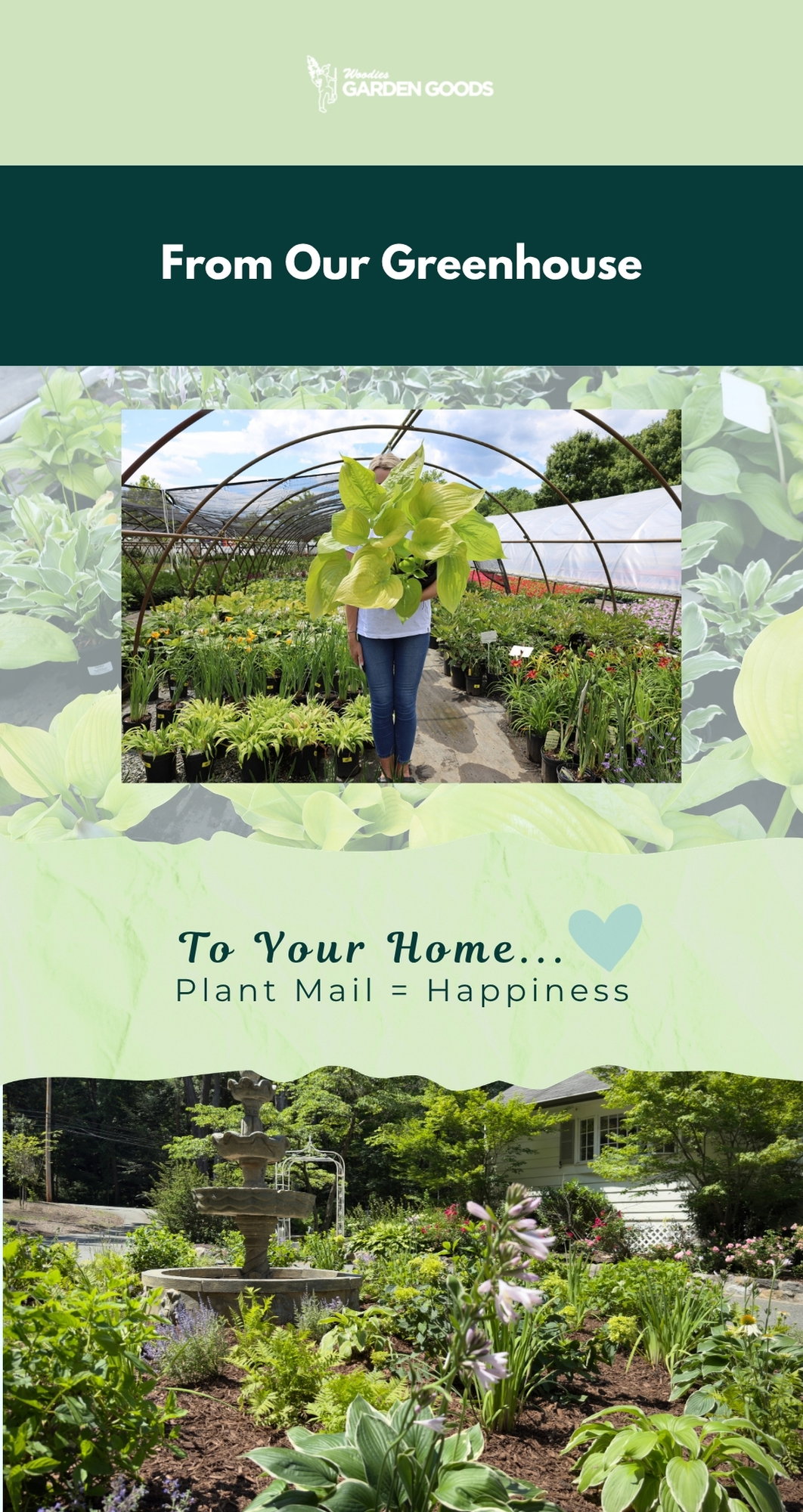 FROM OUR GREENHOUSE TO YOUR HOME. PLANT MAIL = HAPPINESS