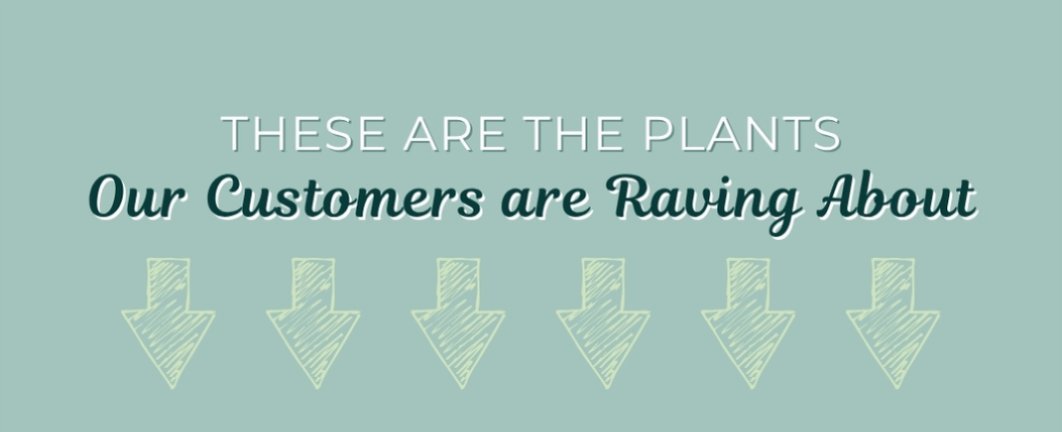 OUR CUSTOMERS ARE RAVING