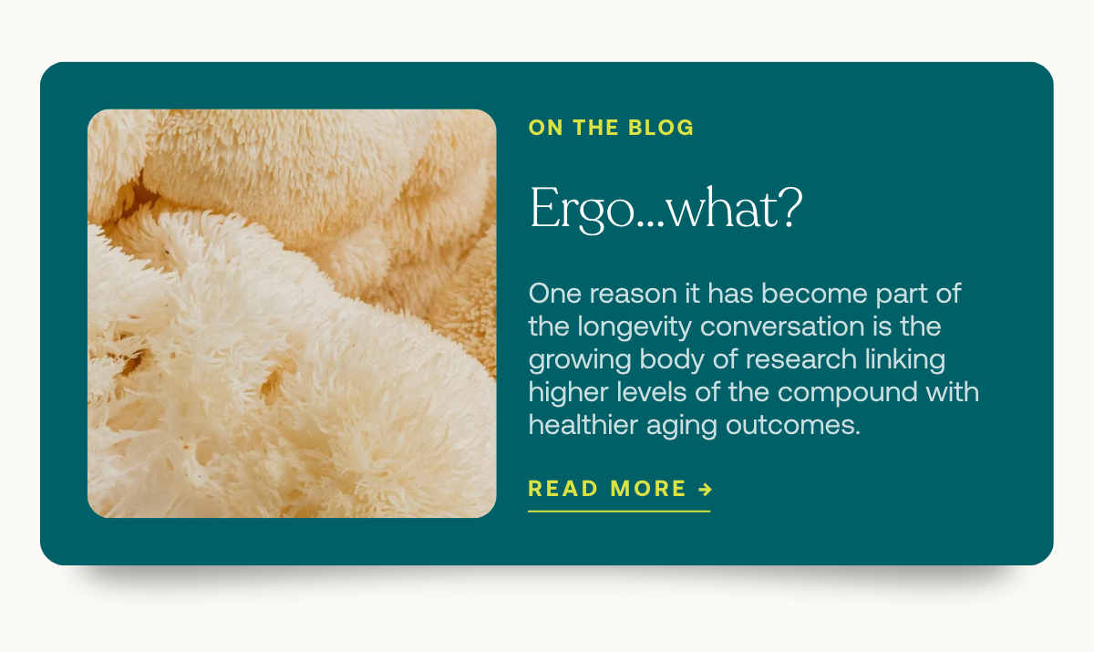Ergo....what? Read More
