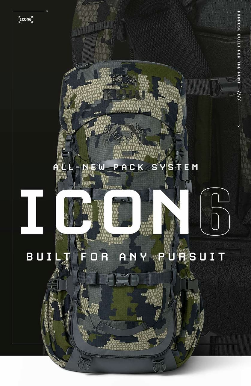 ICON 6