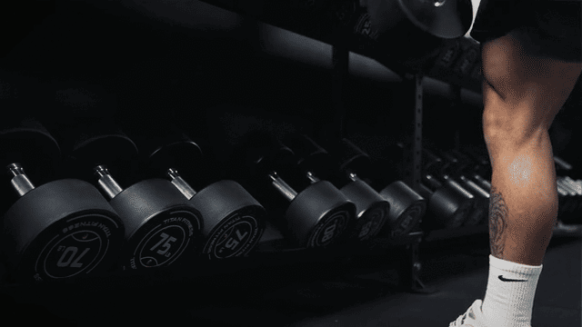 Titan Fitness