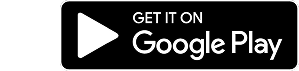 Google Play Store icon