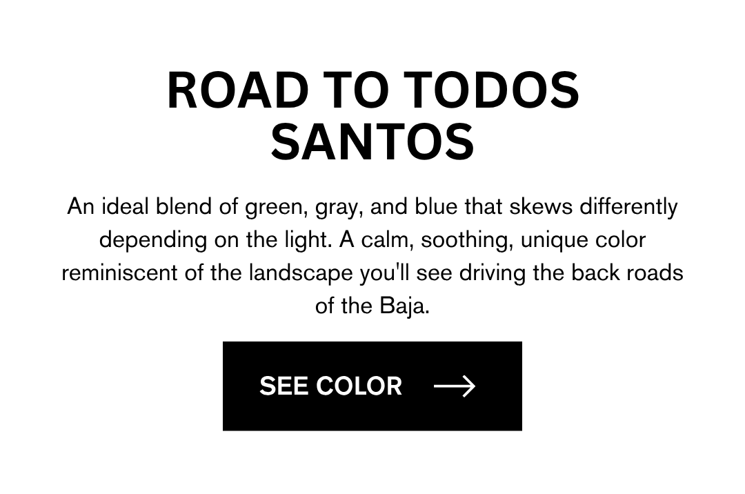 Road to Todos Santos Travels